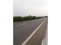 Mahasamund - Tumgaon NH-353 road has 140 Acres of cultivated land