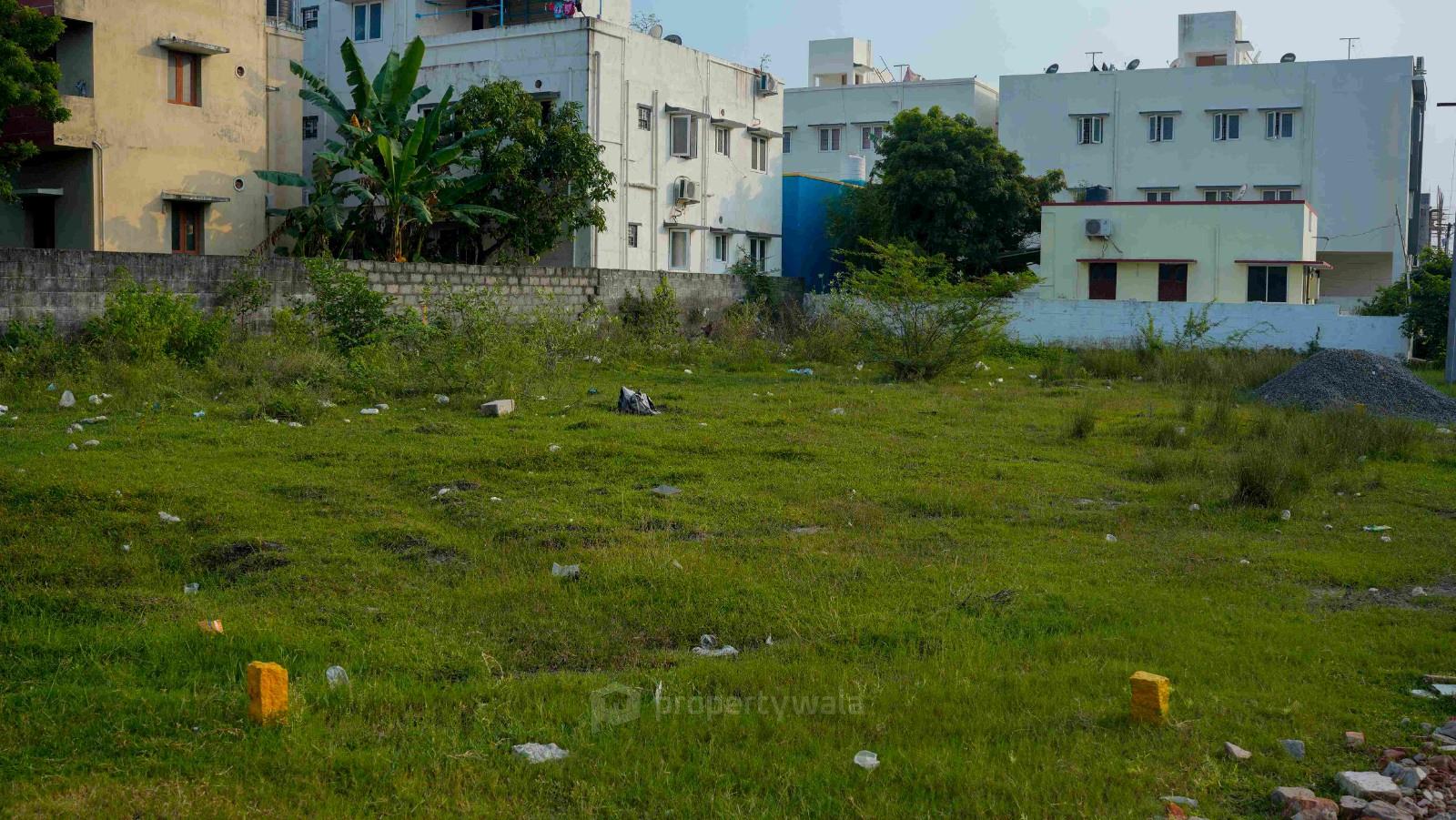 Plot Photo
