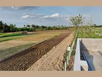 Farmland for sale in Acharapakkam Chennai south