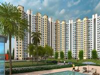 1 Bedroom Flat for rent in Lodha Casa Bella Gold, Kalyan, Thane
