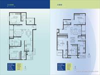 Floor Plan-A