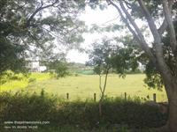 Agricultural Plot / Land for sale in Kinathukadavu, Coimbatore