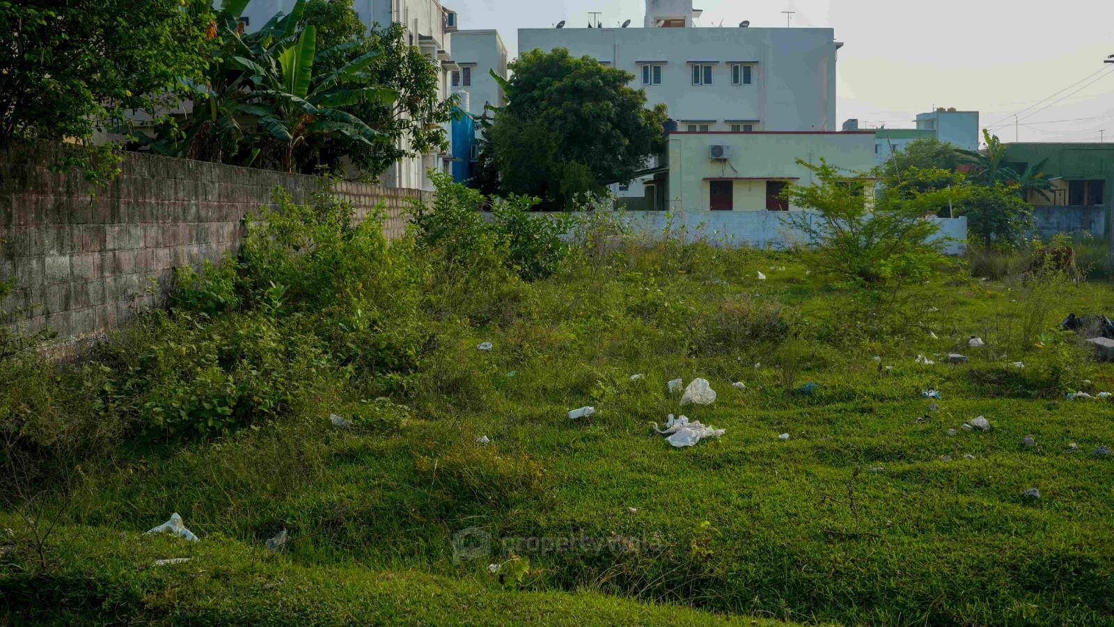 Plot Photo