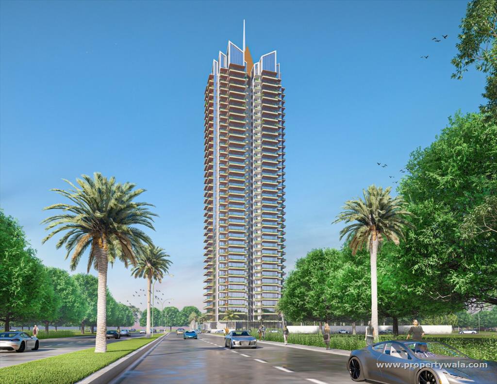 Project - Elevation