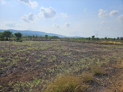 Agricultural Land for sale in Mangaon, Raigad
