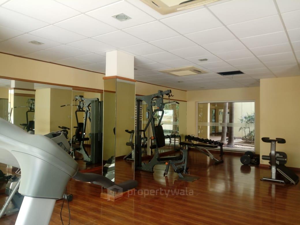 Gymnasium