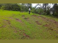 Land for sale in Baba Sai Farms, Poladpur, Raigad