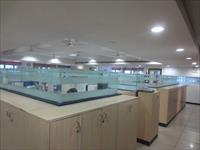 Furnished Commercial Office Space in New Delhi for Rent