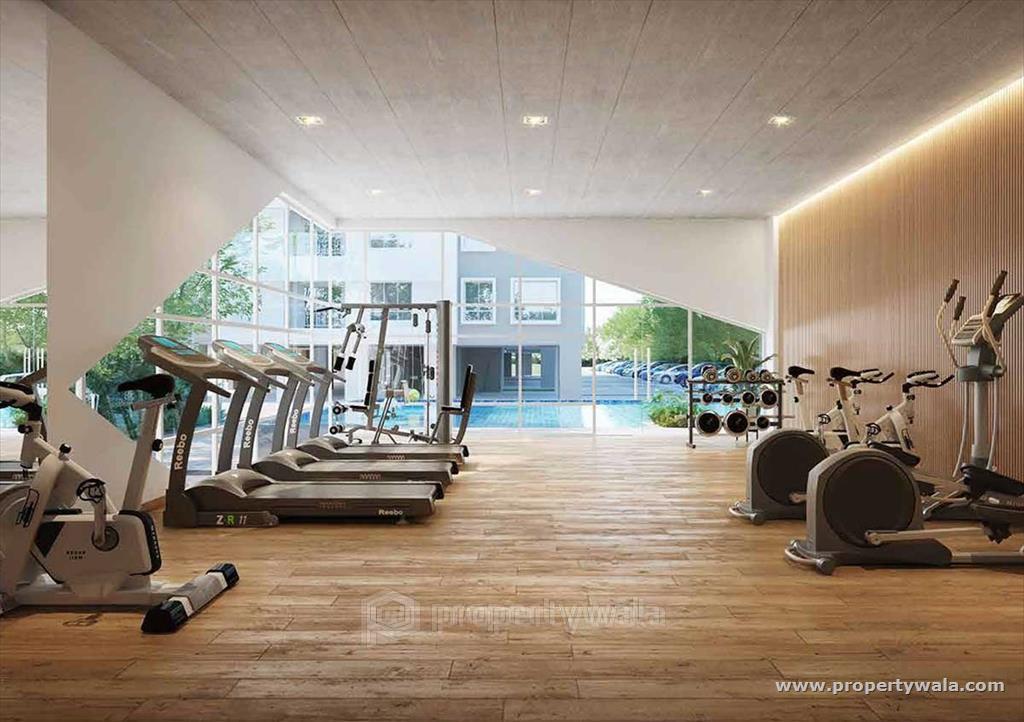 Gymnasium