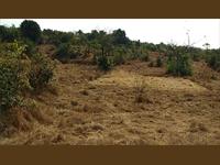 15KMS FROM MANGAON DEPOT-3ACRES AGRICULTURE LAND FOR SALE AT JUST 10LAKHS PER ACRE