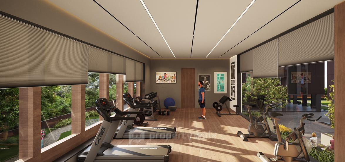 Project - Gymnasium