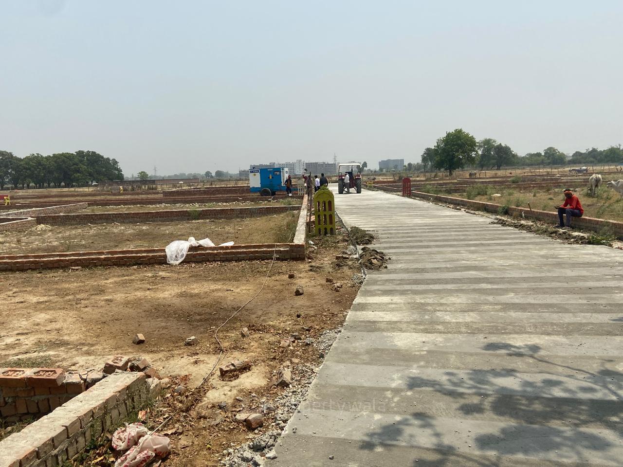 Land View