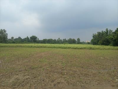 Residential Land for sale in Gosainganj, Lucknow
