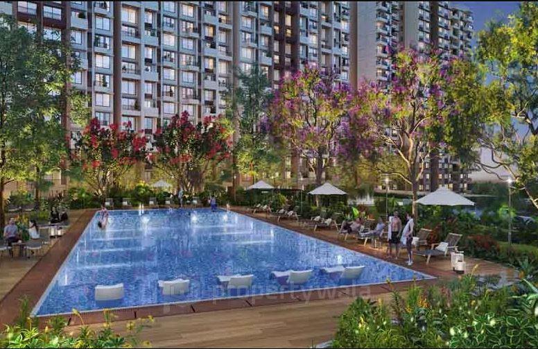 Project - Swimming Pool