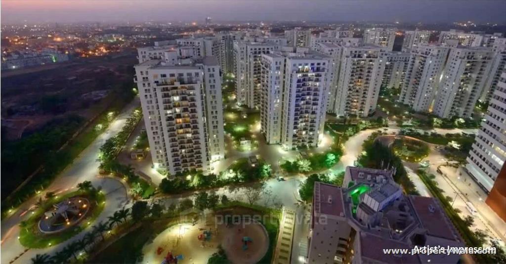 Night View