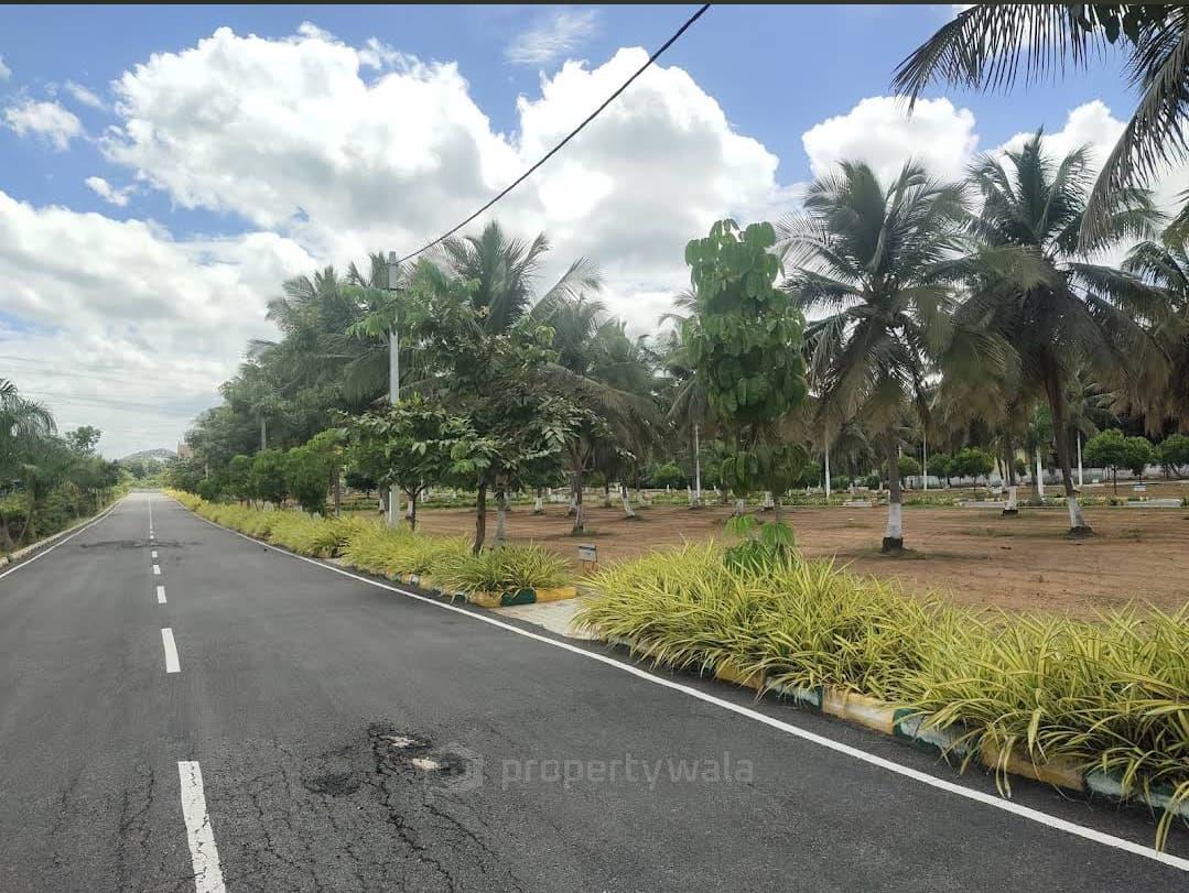 road view