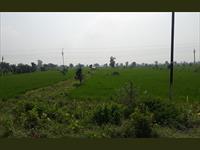 Industrial/commercial Agriculture land Used property Sale Balodabazar CG village - Kokadi Gabri