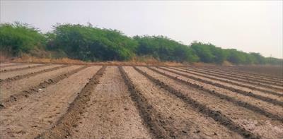 Agricultural Land for sale in Manavadar, Junagadh