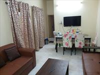 Well maintained 2 BHK Semi-furnished apartment in Bangalore