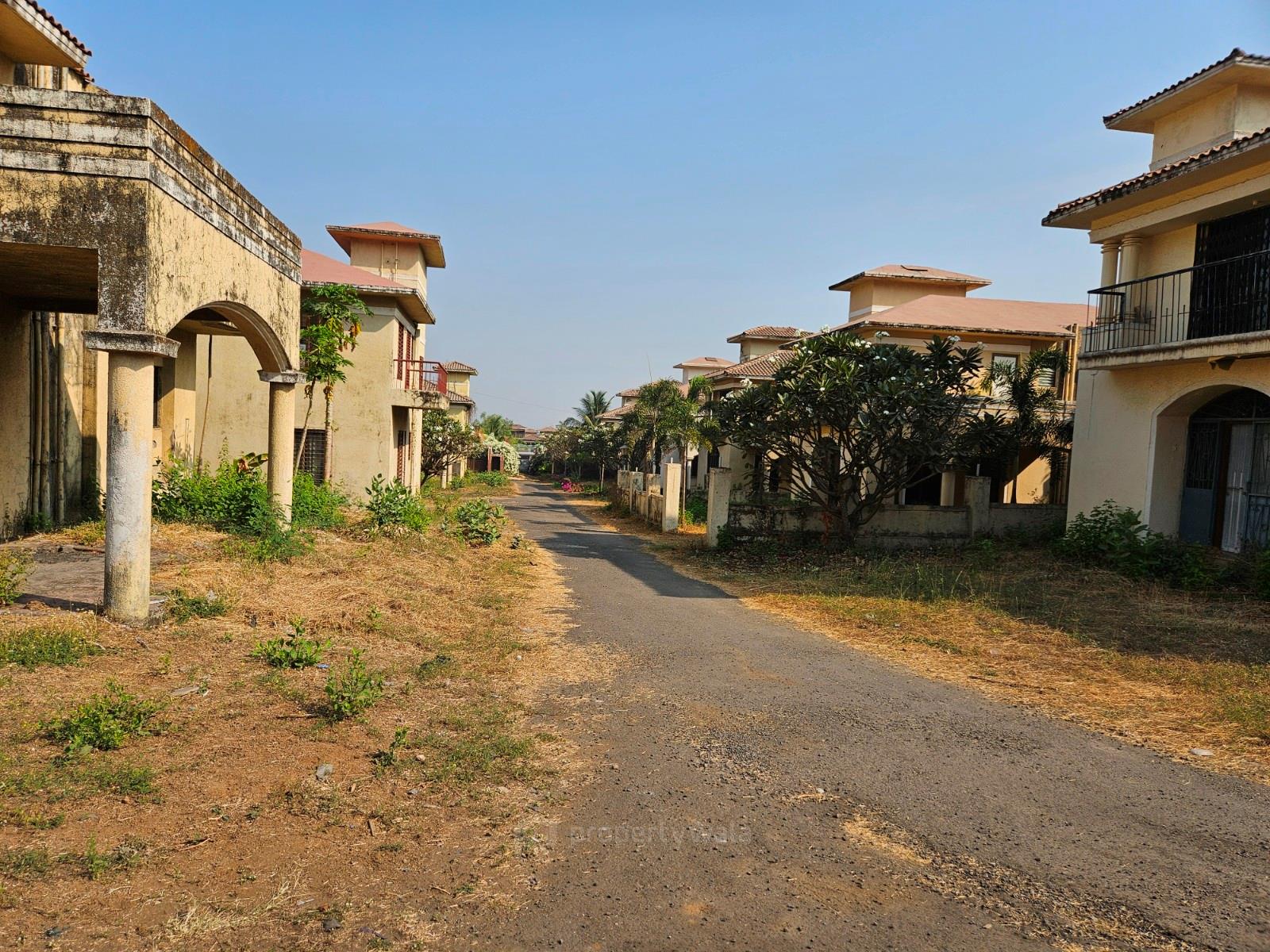 Front View