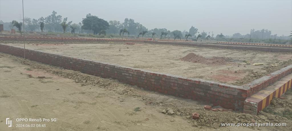 Front View