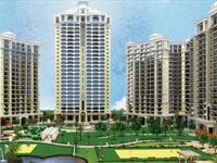 2 Bedroom Flat for sale in Amrapali Jaura Heights, Noida Extension, Greater Noida