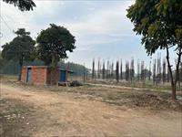 Land for sale in TDI Kingston Square, Sector 110, Mohali