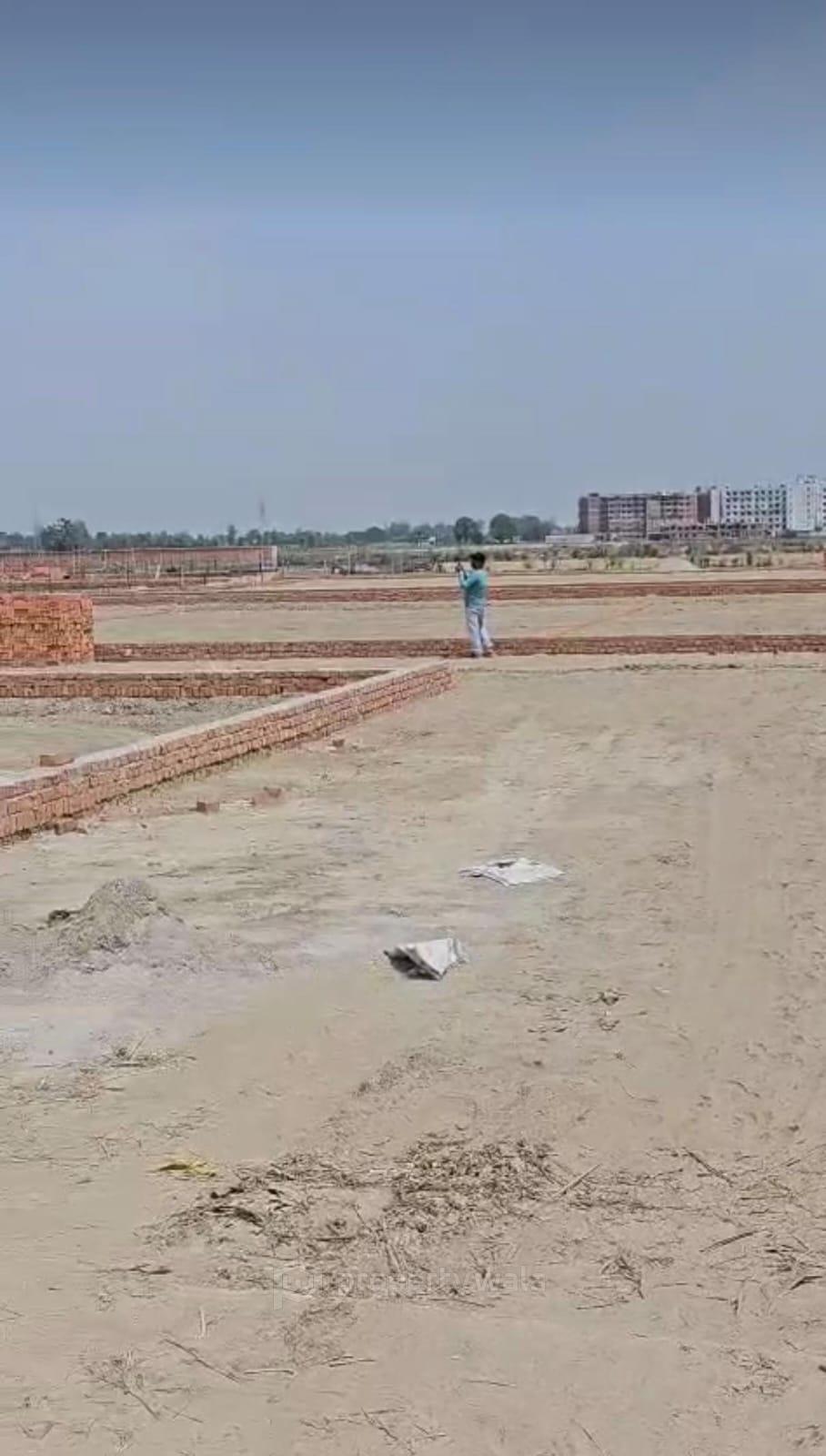plot look