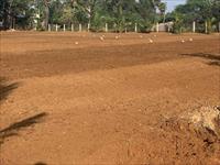 Freehold Land in Thol Village, Ahmedabad South