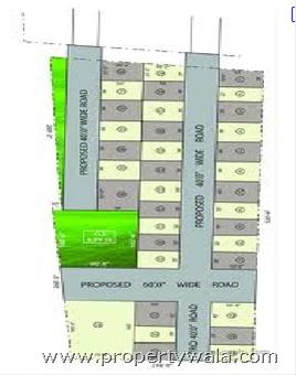 Layout Plan