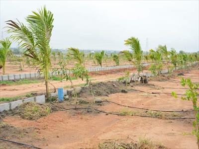 2 Bedroom Farm House for sale in Choutuppal, Hyderabad