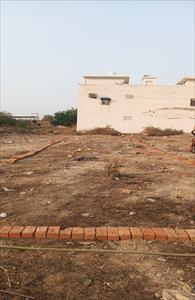 Land for sale in Novelty Green, Noida Extension, Greater Noida