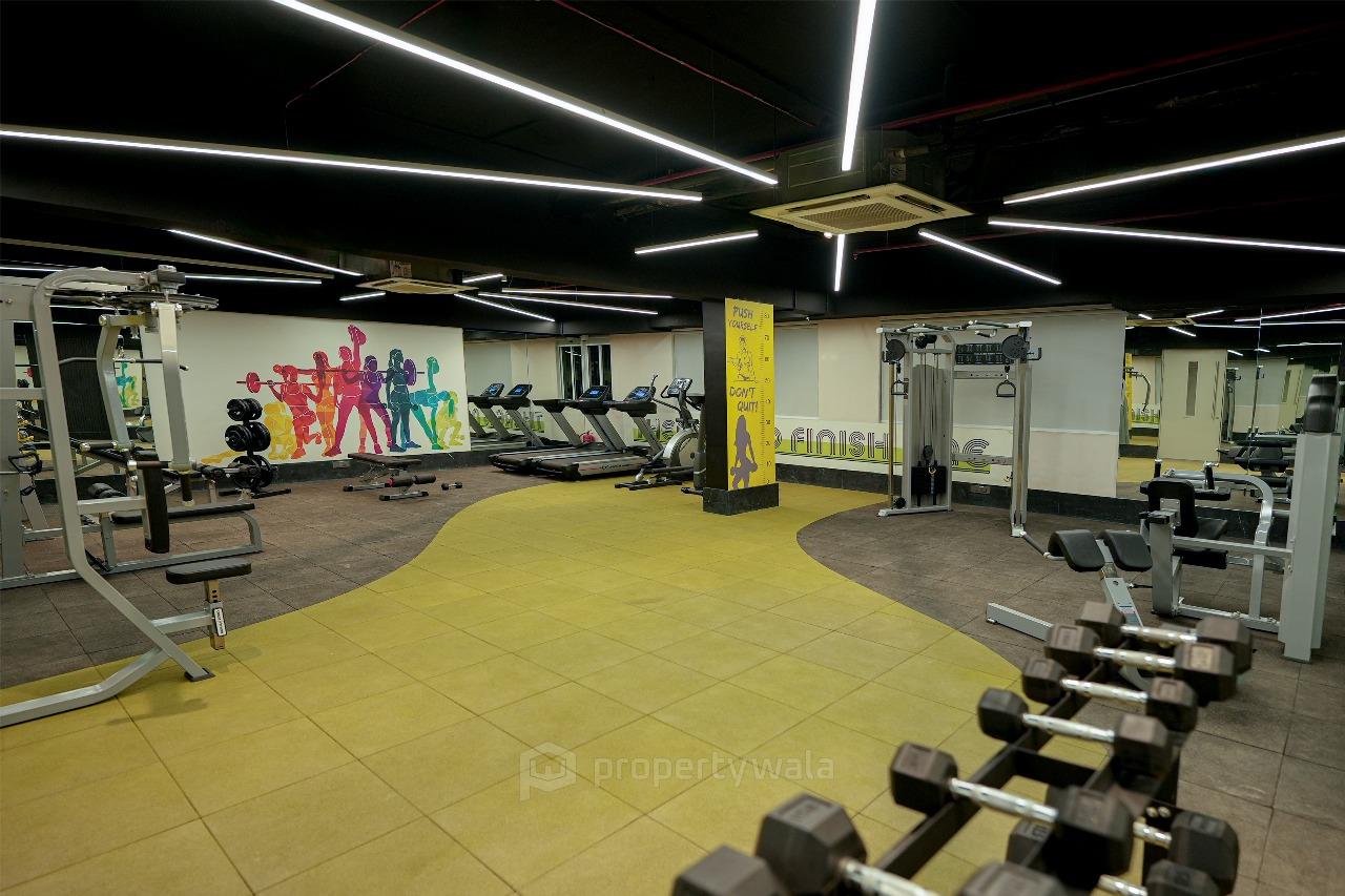 Gymnasium
