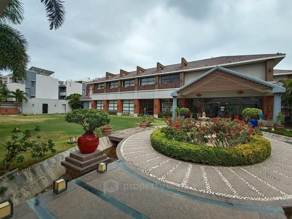 Front View