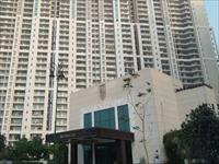 4 BHK Apartment for Sale in DLF The Crest, Gurgaon