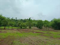 Agricultural Plot / Land for sale in Murbad Midc, Thane