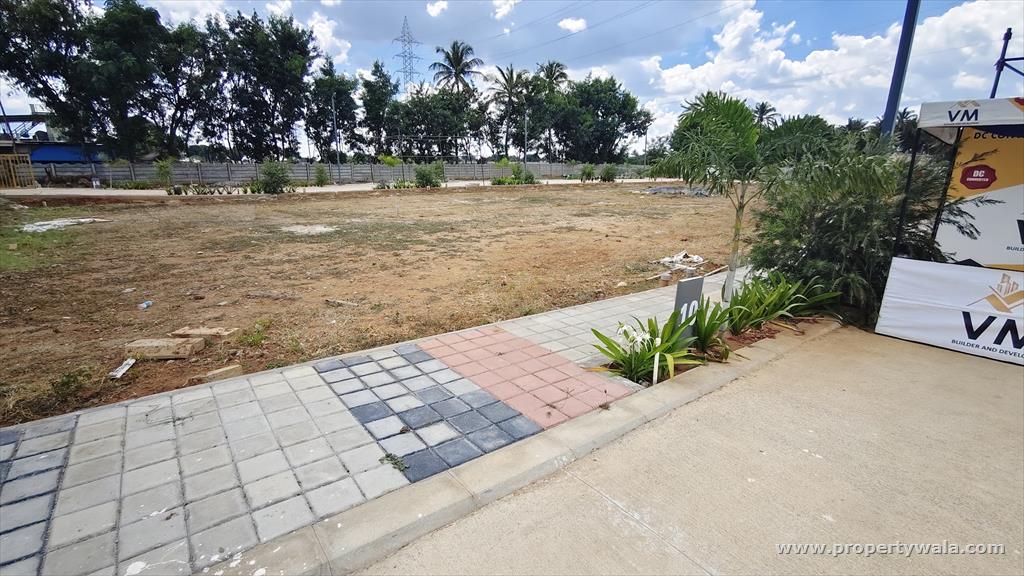 Plot View