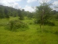 Agricultural Plot / Land for sale in Sangameshwar, Ratnagiri