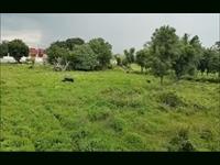 Agriculture Land in Udaipur