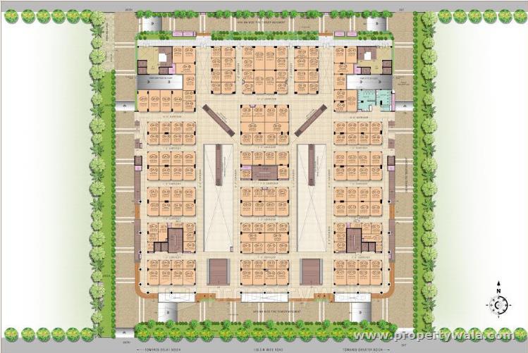 Site Plan