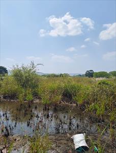 Residential Land for sale in Sadapur, Lonavala