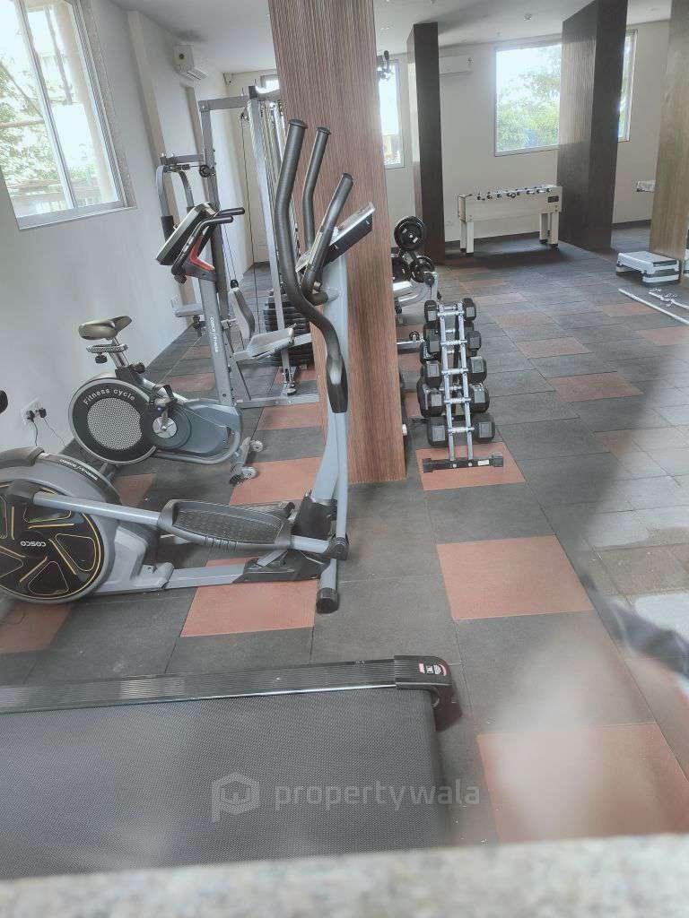Gymnasium