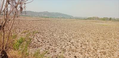 Residential Land for sale in Panvel, Navi Mumbai