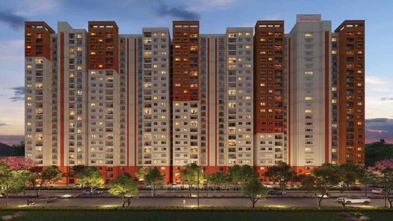 Project - Front View
