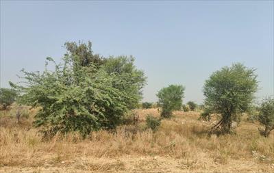 Residential Land for sale in Jagatpura, Jaipur