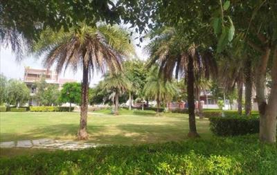 Land for sale in DLF Hyde Park, Mullanpur Garibdass, New Chandigarh