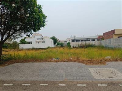 Land for sale in DLF Hyde Park, Mullanpur Garibdass, New Chandigarh
