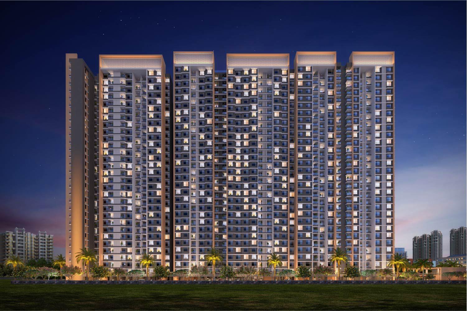 Project - Night View