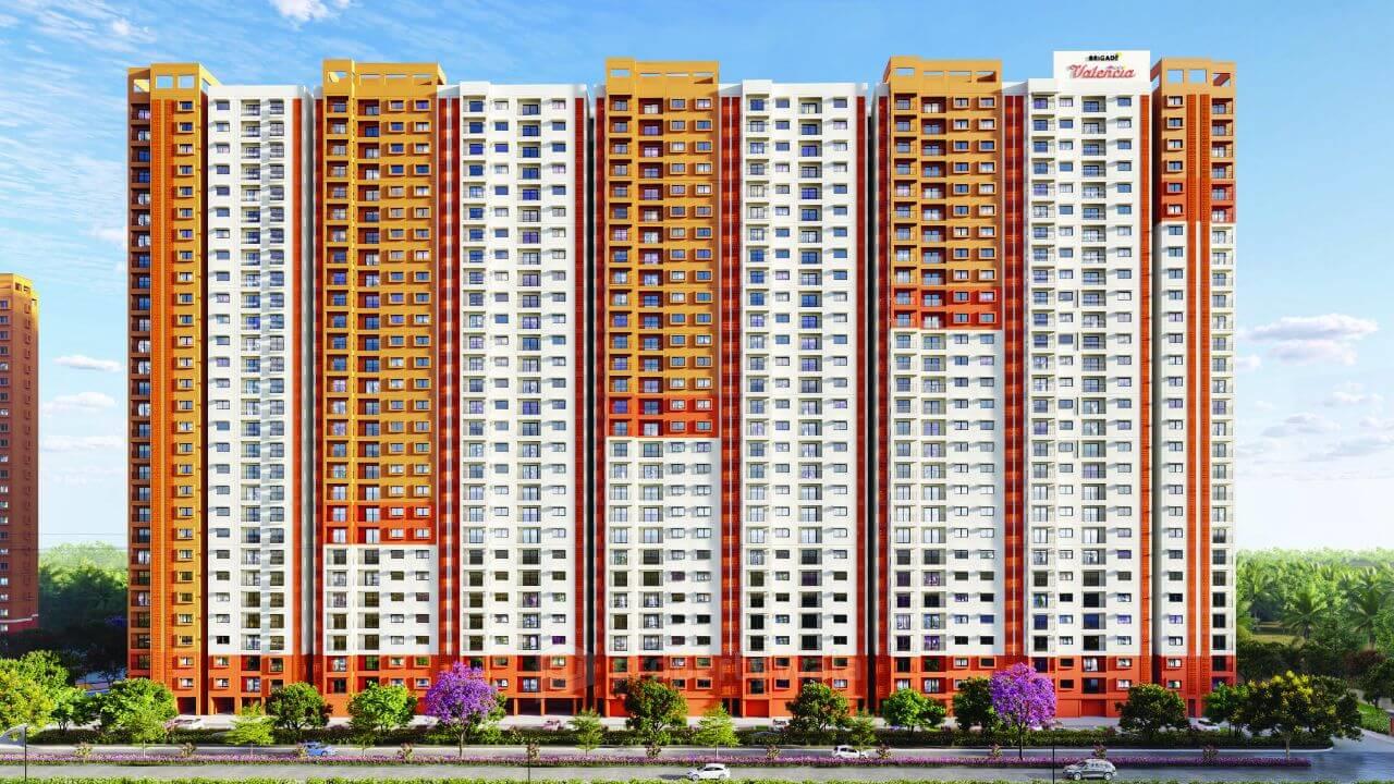 Project - Elevation