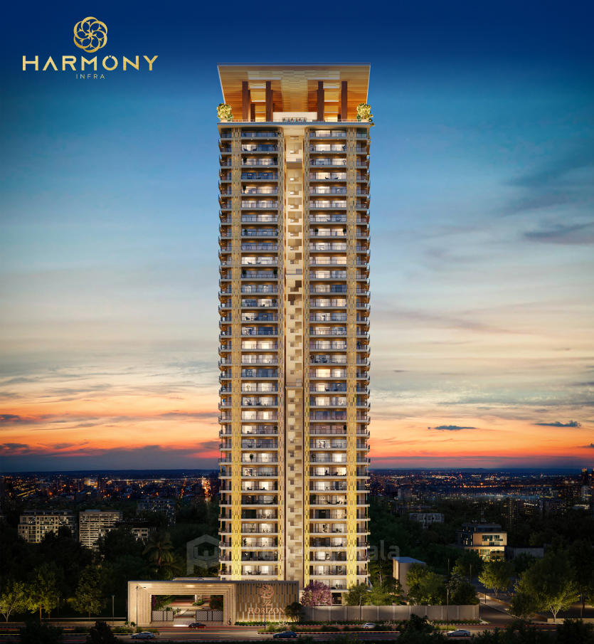 Project - Night View
